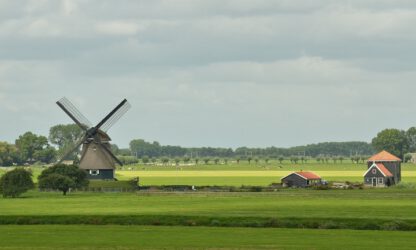 ammoniakrendement